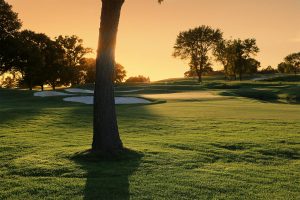 Hazeltine Golf Course Top Soil